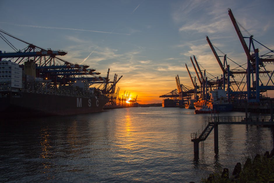 Der Stressfreie Mini Umzug In Hamburg