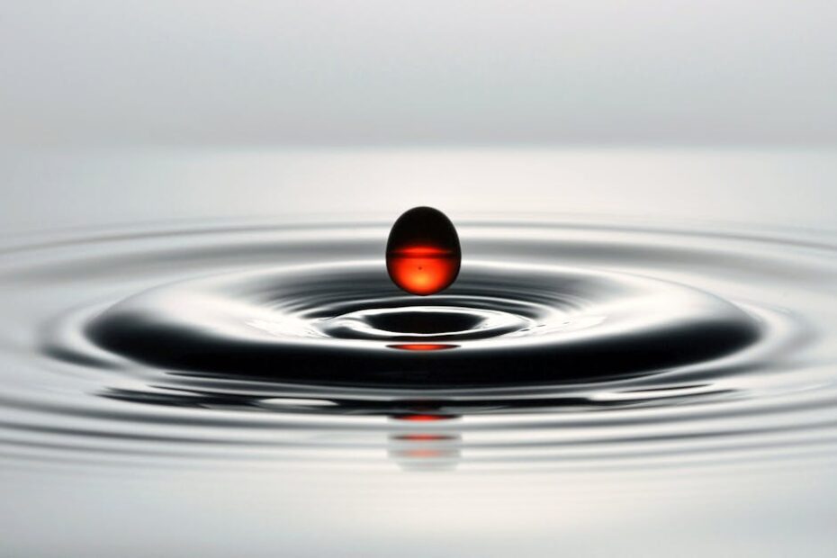 PEXELS PHOTO 33329012