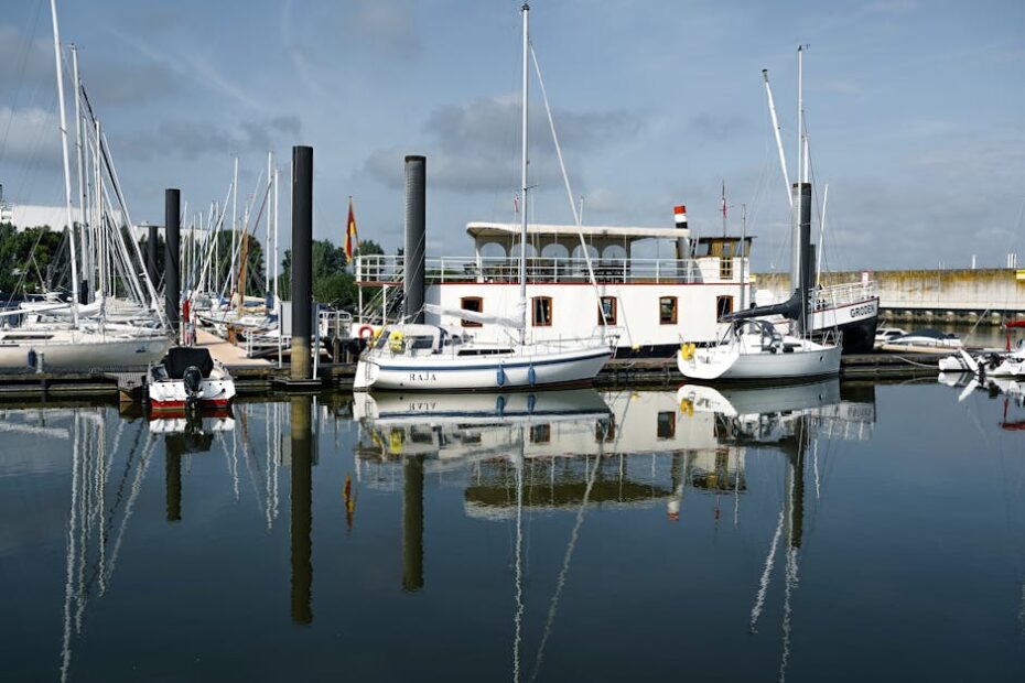 PEXELS PHOTO 33452320