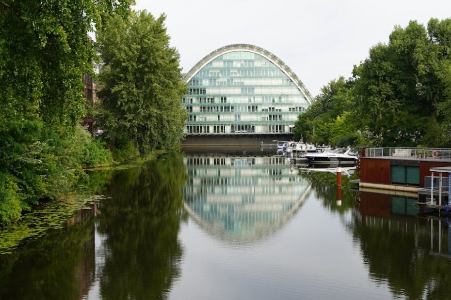 PEXELS PHOTO 33452447