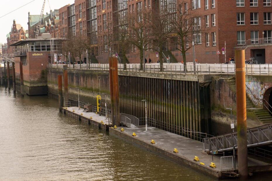 PEXELS PHOTO 33988941