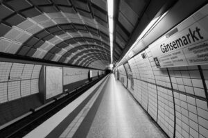 PEXELS PHOTO 34321365